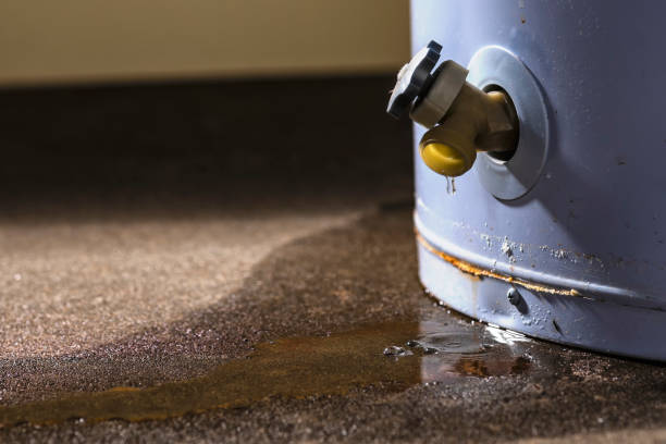 Best 24/7 water damage repair  in Boaz, AL