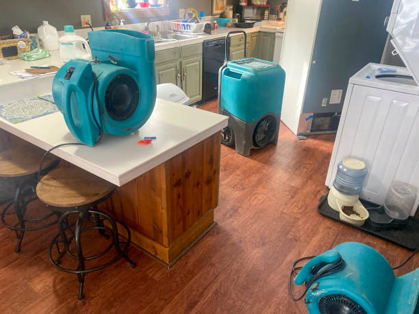 Best Flooded house restoration  in Boaz, AL