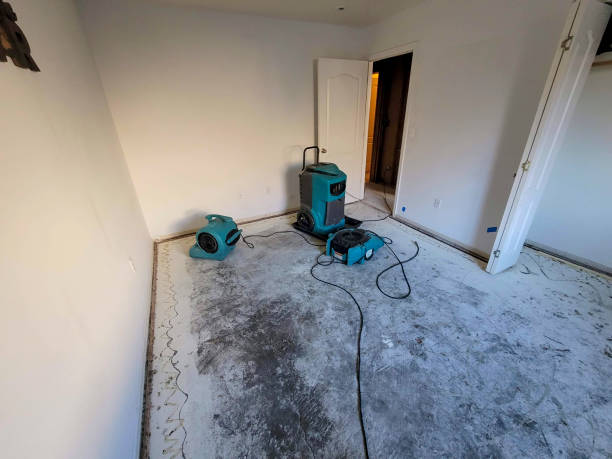 Best Mold removal after water damage  in Boaz, AL