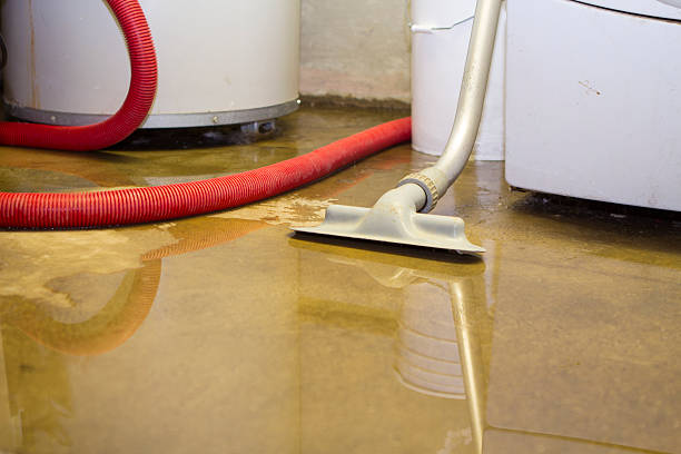 Best Water damage cleanup near me  in Boaz, AL